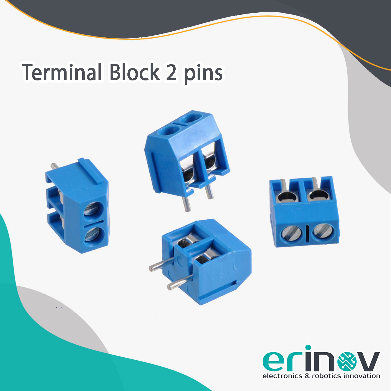 Terminal Block 2 pins - Erinov